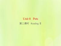 初中英语牛津译林版七年级下册Unit 8 PetsReading教课内容课件ppt