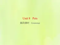 牛津译林版七年级英语下册unit8 pets 第4课时grammar课件