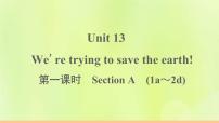 九年级全册Unit 13 We’re trying to save the earth!Section A作业ppt课件