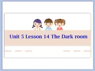 北师大9年级Unit 5《Lesson 14 The Dark room》课件