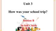 鲁教版 (五四制)七年级上册Section B教学演示ppt课件