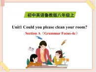 鲁教版五四制8上英语Unit1_SectionA（Grammar_Focus-4c）精品课件