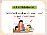 鲁教版五四制8上英语Unit1_SectionB（3a-Self_Check）精品课件