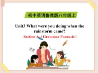 鲁教版五四制8上英语Unit3_SectionA（Grammar_Focus-4c）精品课件