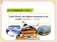 鲁教版五四制8上英语Unit5_SectionA（1a-2d）精品课件