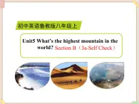 鲁教版五四制8上英语Unit5_SectionB（3a-Self_Check）精品课件