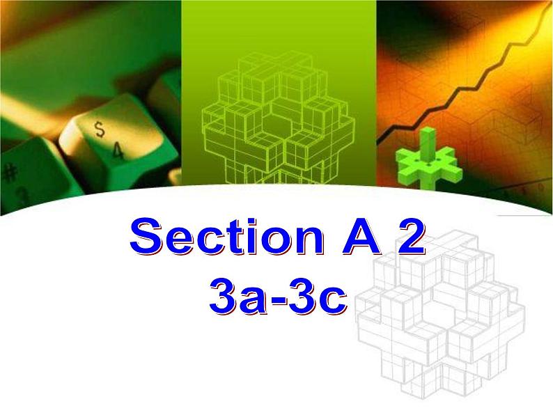 鲁教版五四制8上英语Unit7_SectionA2(3a-3c)参考课件02