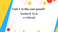 人教新目标 (Go for it) 版七年级上册Unit 3 Is this your pencil?Section B集体备课ppt课件