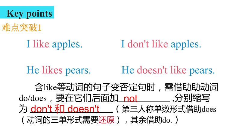 Unit 6 Do you like bananas 语法知识 课件 2022-2023学年人教版英语七年级上册第4页