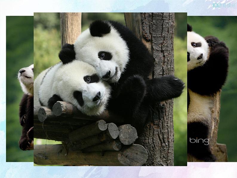 人教新目标版八年级下册英语Unit 7 Section B (2a-2e)Unit 7 第四课时课件05