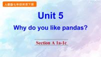 英语七年级下册Unit 5 Why do you like pandas?Section A备课ppt课件