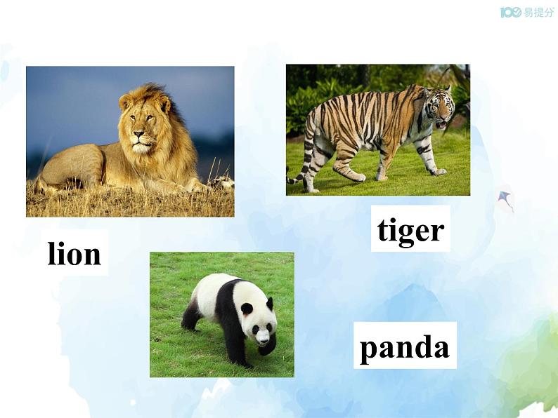 人教新目标版七年级下册英语 Unit 5 Section A (1a~2d)Section A 第一课时课件05
