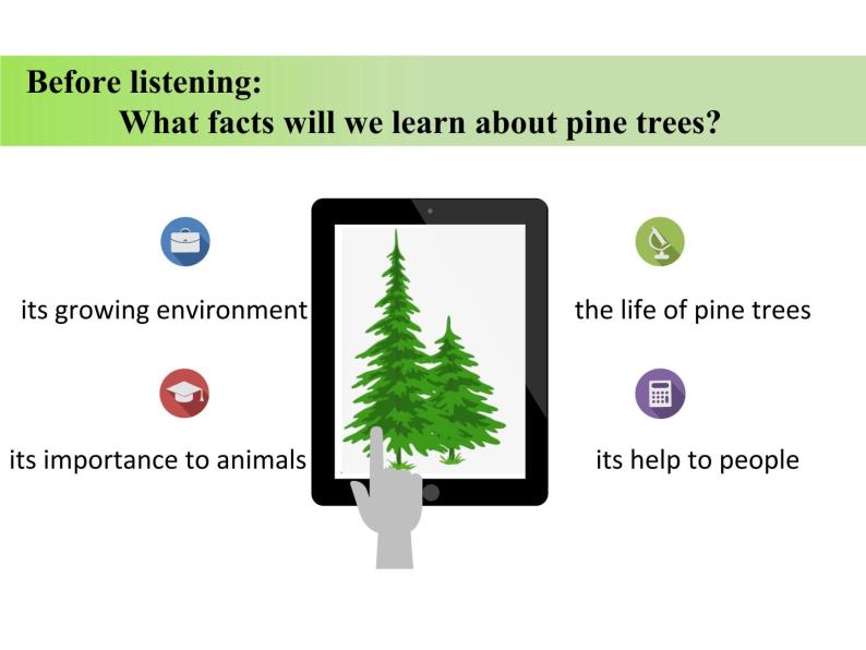 初中 初一 英语7BU Listening Pine trees 7B U4 Listening 课件05