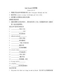 初中英语鲁教版 (五四制)八年级上册Section A学案