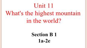 鲁教版 (五四制)九年级全册Section B课文ppt课件