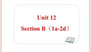 鲁教版 (五四制)九年级全册Section B图片ppt课件