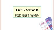 鲁教版 (五四制)九年级全册Section B教课内容课件ppt