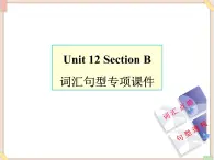 Unit12__SectionB__词汇句型专项课件 鲁教版五四制英语九下