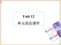 Unit12__单元语法课件 鲁教版五四制英语九下