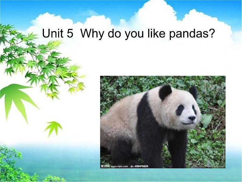 人教版七年级英语下册复习课件Unit5 Why do you like pandas(15张PPT)第1页
