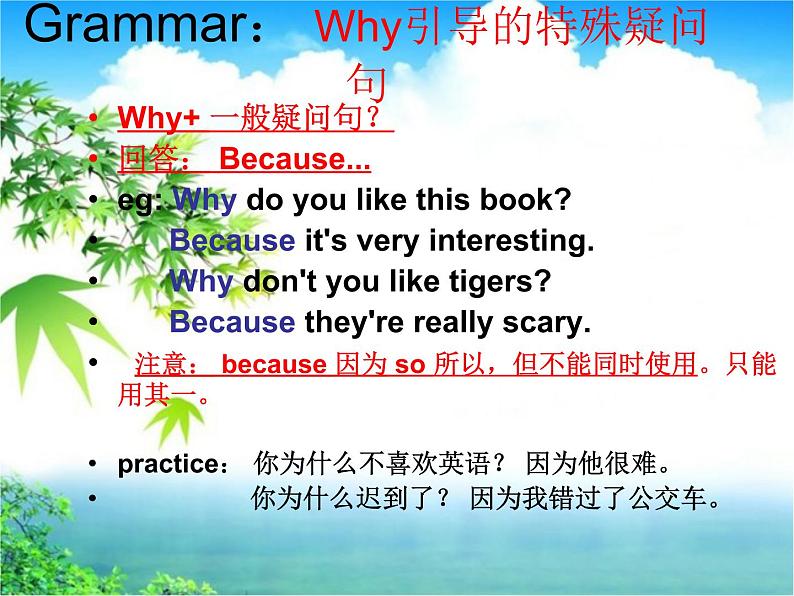 人教版七年级英语下册复习课件Unit5 Why do you like pandas(15张PPT)第5页