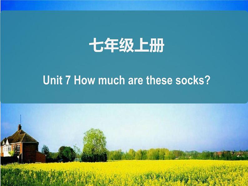 人教版七年级英语上册复习课件Unit 7 How much are these socks?知识总结课件(25张PPT)第1页