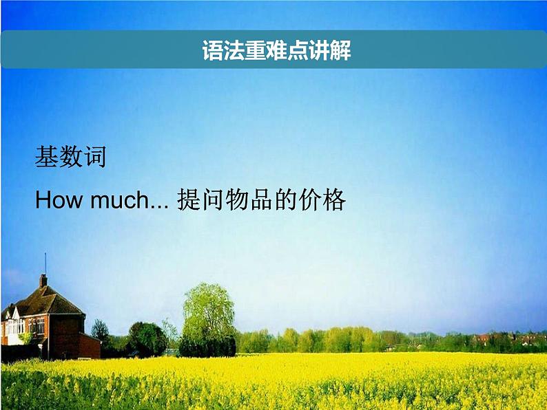 人教版七年级英语上册复习课件Unit 7 How much are these socks?知识总结课件(25张PPT)第4页