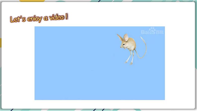冀教版八年级英语下册--Unit 3 Lesson 14 Amazing Animals(课件+素材)06