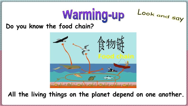 2022--2023学年冀教版八年级英语下册--Unit 8 Lesson 47 Connected to Nature（课件+素材）05