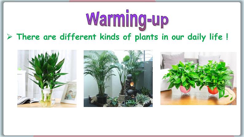 冀教版八年级英语下册--Unit 2 Lesson 8 Why Are Plants Important(课件+素材)04