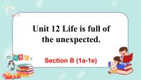 初中Section B试讲课课件ppt