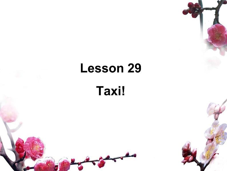 新概念英语第二册课件Lesson29(共15页)第1页