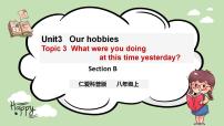 初中英语Topic 3 What were you doing at this time yesterday?完美版ppt课件