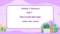 外研版 (新标准)九年级上册Module 5 MuseumsUnit 1 Don’t cross that rope!示范课ppt课件
