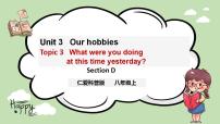 仁爱科普版八年级上册Topic 3 What were you doing at this time yesterday?优秀ppt课件