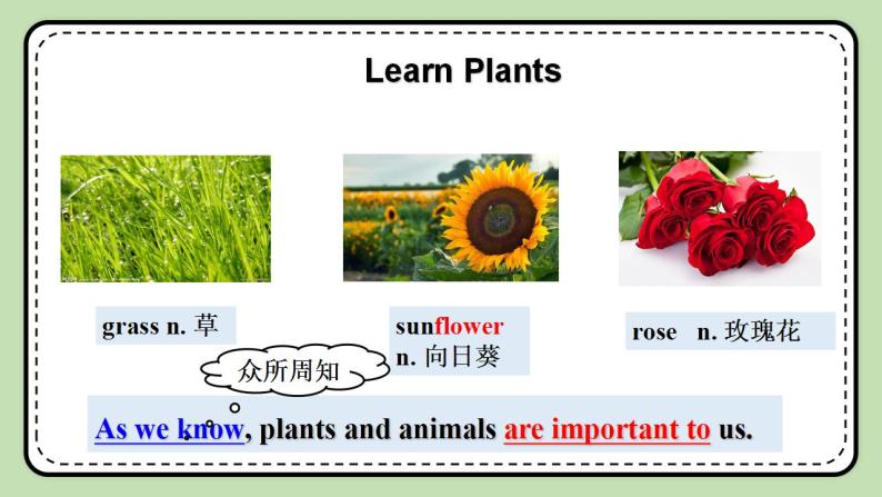 Unit 4 Our World《Topic1 SectionB》课件+教案06