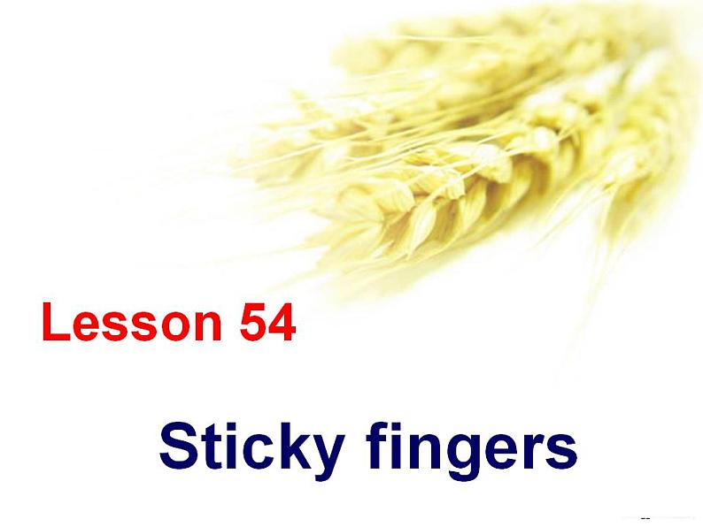 新概念英语第二册课件Lesson54(共21页)第1页