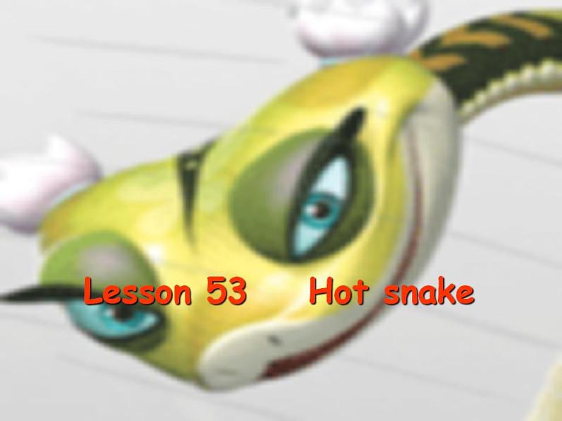 新概念英语第二册课件Lesson53(共17页)第1页