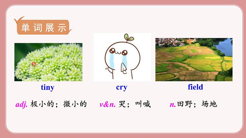 第2课时 Section A (3a-3c)第5页
