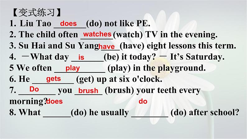 Unit2Grammar一般现在时牛津译林版英语七年级上册(共17张PPT)06
