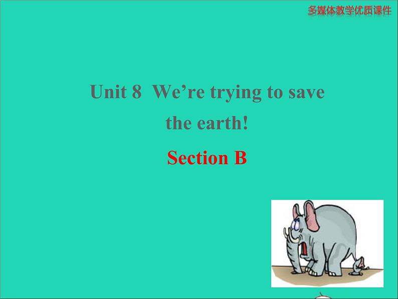 九年级英语全册Unit8We'retryingtosavetheearthSectionB课件鲁教版五四制01