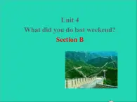 七年级英语上册Unit4WhatdidyoudolastweekendSectionB课件鲁教版五四制