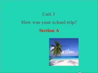 七年级英语上册Unit3HowwasyourschooltripSectionA课件鲁教版五四制