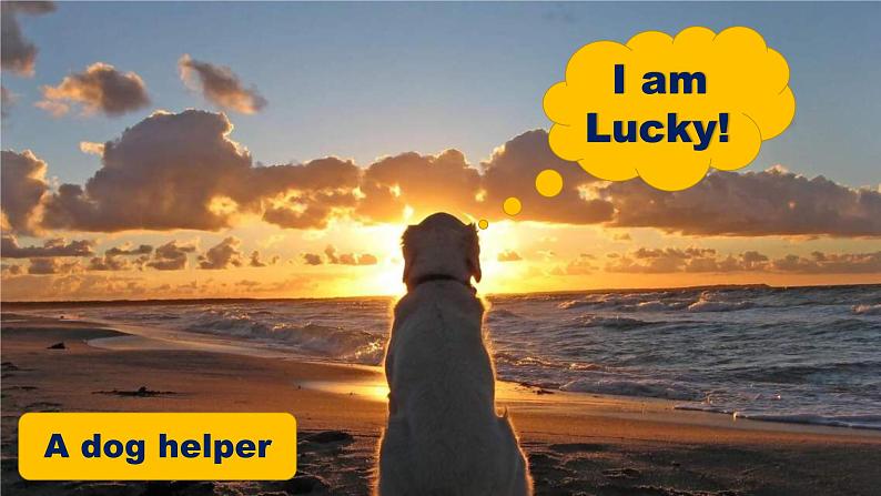 八下u2 dog helper大阅读 课件 人教版初中英语八年级下第6页