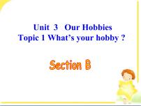 仁爱科普版八年级上册Topic 1 What's your hobby?示范课ppt课件