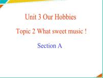 初中英语仁爱科普版八年级上册Topic 2 What sweet music!示范课ppt课件
