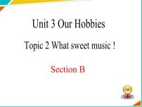 2020-2021学年Topic 2 What sweet music!评课课件ppt