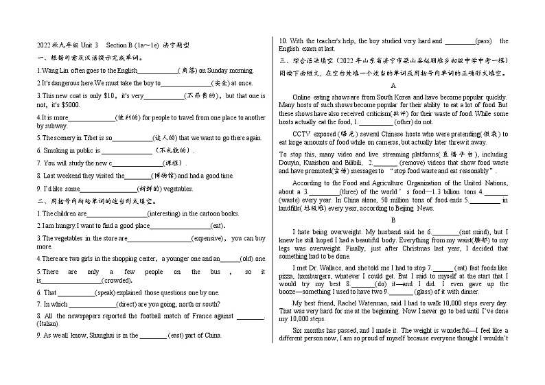 Unit 3 Section B (1a~1e)同步练习2022-2023学年人教版新目标英语九年级全册(word版含答案)第1页
