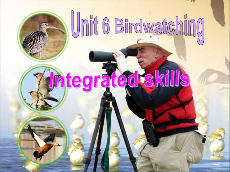 2022-2023学年牛津 译林版英语八年级上册Unit6 Birdwatching Integrated Skills 课件 （共26张PPT+4音频）01