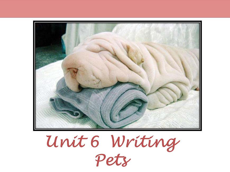 牛津版（深圳廣州）八年下冊(cè)第六單元課件 Uint6 Pets Writing第1頁(yè)